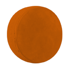 Шайба тренировочная BlueSports Sponge Puck