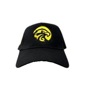 Бейсболка с логотипом "ХК Сарыарка"