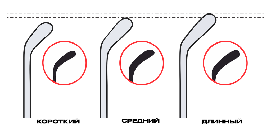 7.png 7.png